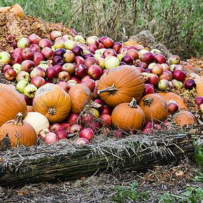 YUMMY FALL RECIPES YOU CAN FEEL GOOD ABOUT